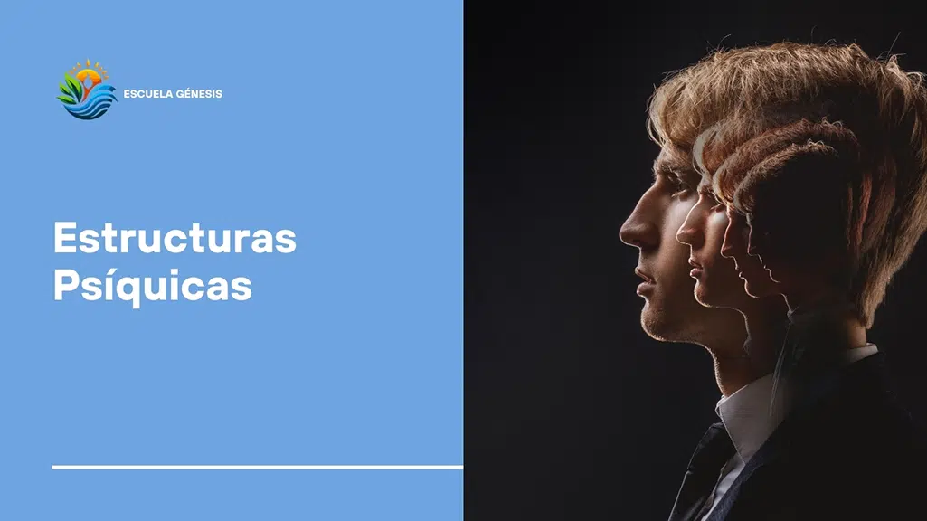 Estructuras Psíquicas​