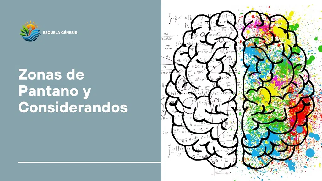 Zonas de Pantano y Considerandos​
