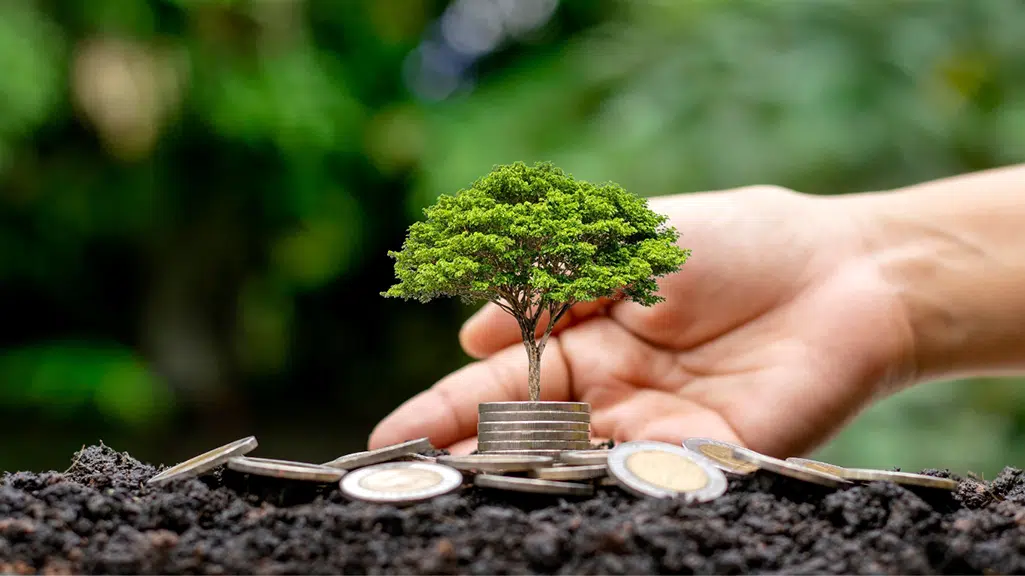 Economía consciente frente a economía tradicional, creando prosperidad colectiva y abundancia compartida.