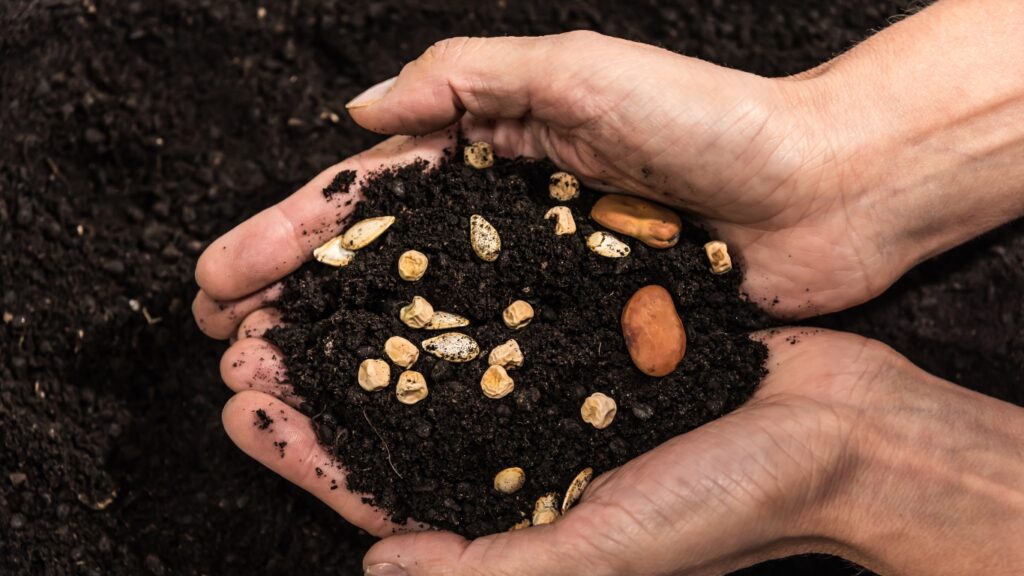 Representación de Pachamama rodeada de naturaleza, hojas y raíces que simbolizan los ciclos de la vida.